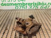 Front wheel hub spindle knuckle