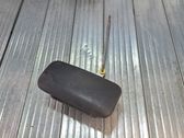 Manecilla externa puerta delantera