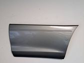 Listón embellecedor de la puerta delantera (moldura)