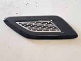 Ziergitter Motorhaube