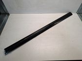 Listón embellecedor de la puerta delantera (moldura)