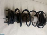Front shock absorber with coil spring