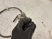 AdBlue injector