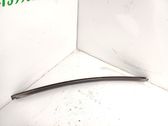 Listón embellecedor de la puerta delantera (moldura)