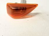 Front fender indicator light