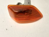 Front fender indicator light