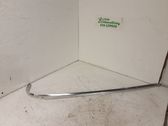 Listón embellecedor de la puerta delantera (moldura)