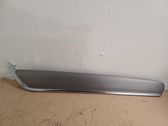 Front door trim bar