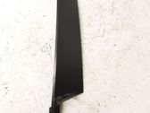 Front door trim (molding)