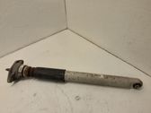 Rear shock absorber/damper