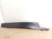 Front door trim (molding)