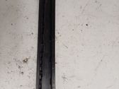 Rear door trim (molding)