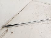 Glasverkleidung hinten