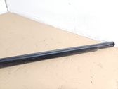 Front door trim (molding)