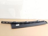 Front door trim (molding)