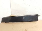 Rear door trim (molding)