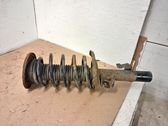 Front shock absorber with coil spring
