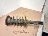 Front shock absorber with coil spring