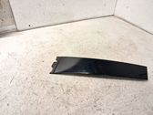 Listón embellecedor de la puerta delantera (moldura)