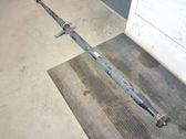 Drive shaft (set)