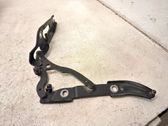 Tailgate/trunk/boot hinge