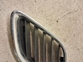 Front bumper lower grill