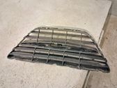 Front bumper lower grill