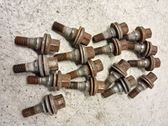 Nuts/bolts