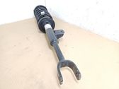 Front shock absorber with coil spring