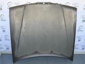 Motorhaube
