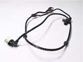 Cableado del sensor ABS delantero