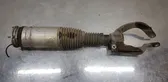 Front shock absorber with coil spring