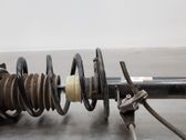 Amortiguador delantero con muelle espiral