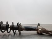 Stoßdämpfer Federbein