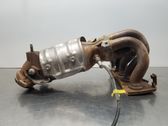 Catalyst/FAP/DPF particulate filter