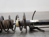 Amortiguador delantero con muelle espiral