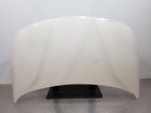 Motorhaube