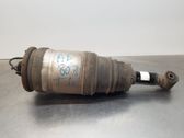 Stoßdämpfer hinten