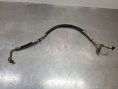 Power steering hose/pipe/line