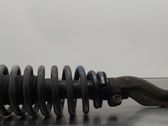 Front shock absorber with coil spring
