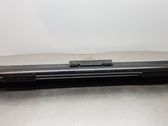 Tailgate/trunk/boot lid