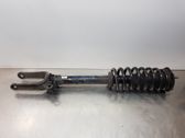 Front shock absorber with coil spring