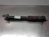 Rear shock absorber/damper
