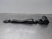 Cinturón trasero