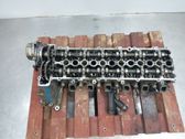 Culata del motor