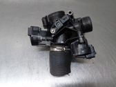 Throttle body valve