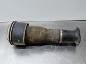 Rear shock absorber/damper