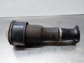 Rear shock absorber/damper