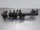 Amortiguador delantero con muelle espiral