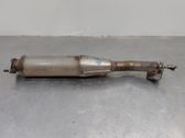 Filtro de partículas del catalizador/FAP/DPF
